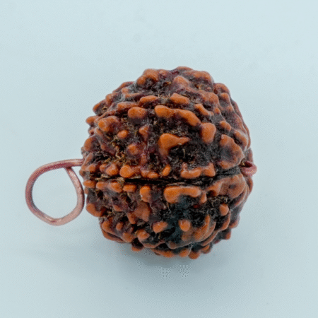 4 mukhi rudraksha