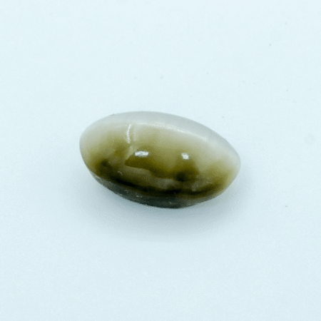 cat's eye